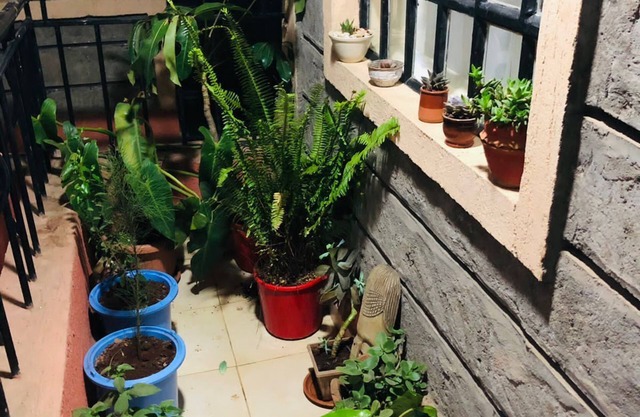 Cozy 1 bedroom condo available with free parking and scenic balcony