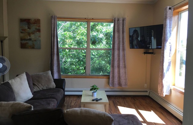Cozy 1-bedroom condo with AC, WiFi in charming Saint Paul