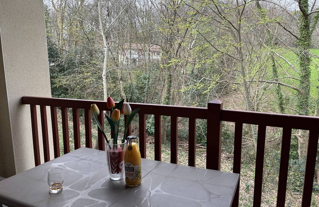 Cozy 1-Bedroom Apartment with Terrace, Parking, Near Thermal Baths – Sleeps 3