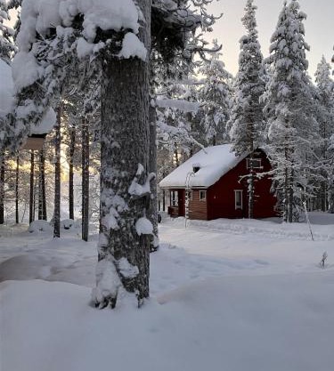 Cozy and comfortable cottage, Levi Lapland