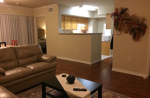 Cozy and comfy 2/2 apartment in a great location
