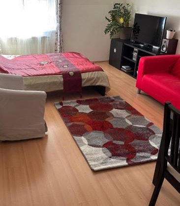 Cozy Apartment in District 8