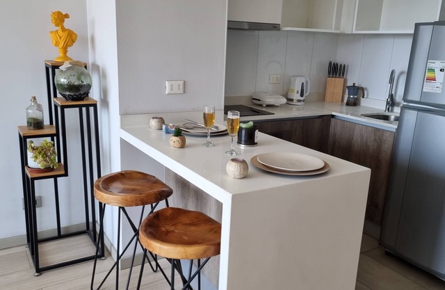 Cozy apartment in Santiago - near Cerro San Cristobal