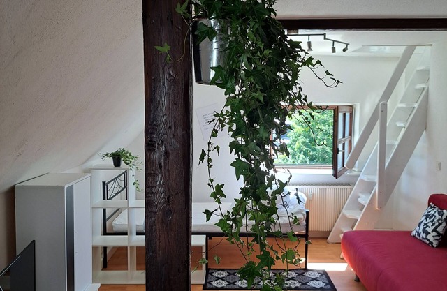 Cozy attic apartment