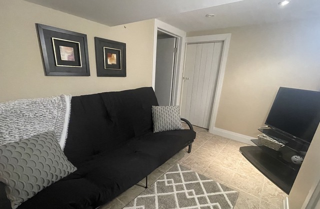Cozy Basement