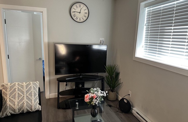 Cozy BSMT Apt w/2BR+Disney+ Nflx