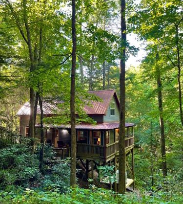 Cozy Cabin in Red River Gorge