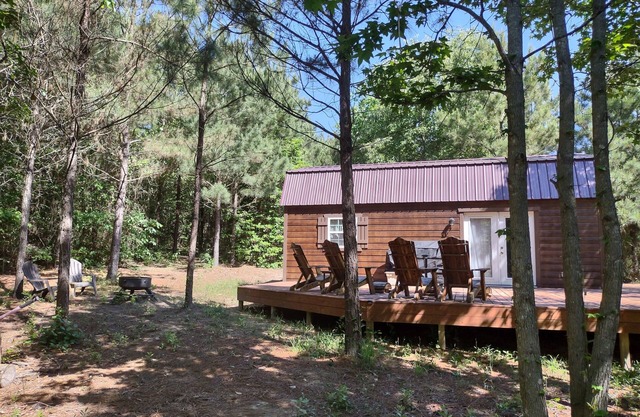 Cozy cabin in the piney woods