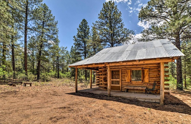Cozy Cabin on 1,000 Acres by San Juan Nat'l Forest