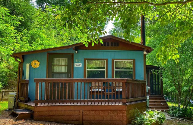 Cozy cabin with hi-speed fiber optic. Dog friendly! 40 min to dtwn Asheville.