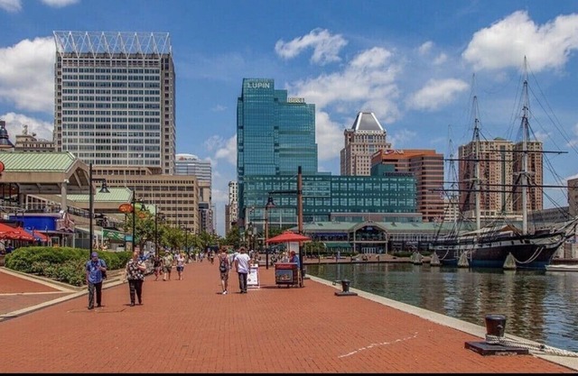 Cozy Caribbean 🏝Island Studio🏝1B/1B Mins to Harbor in Baltimore 🦀