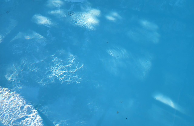 COZY, COMFY POOL HOME 3/2