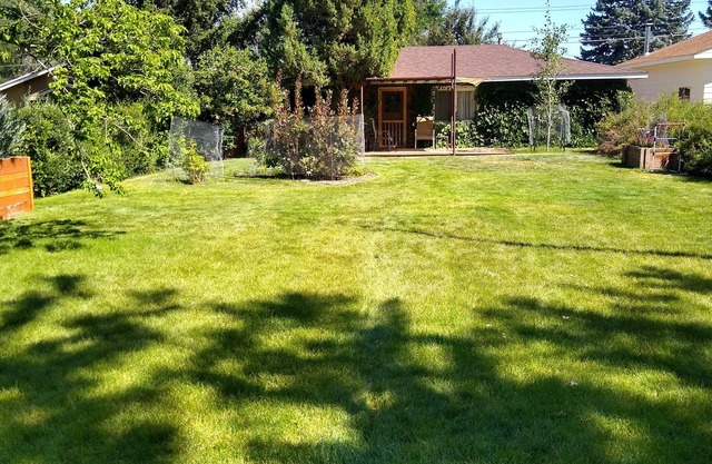 Cozy Cottage with Great Location