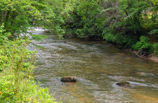 Cozy creek side getaway minutes from Downtown Blue Ridge!