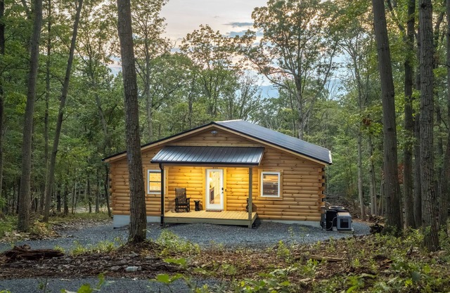 Cozy Cub Den - Brand Cabin Retreat for Nature Lovers in Shenandoah