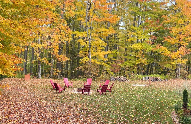 Cozy Fall Getaway! Enjoy Fall Colors & Family Games by the Camp Fire