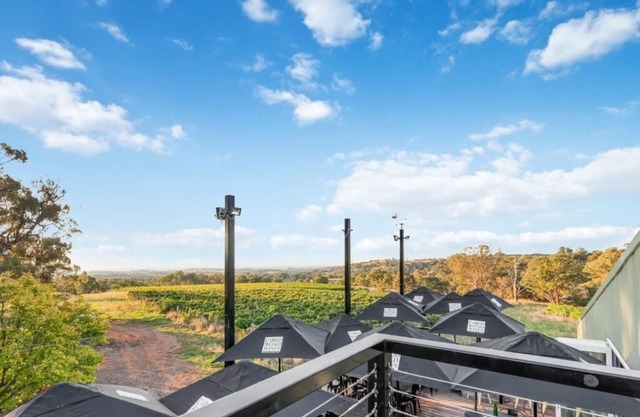 Cozy Getaway with Beautiful Vineyard views in the middle of wine region!