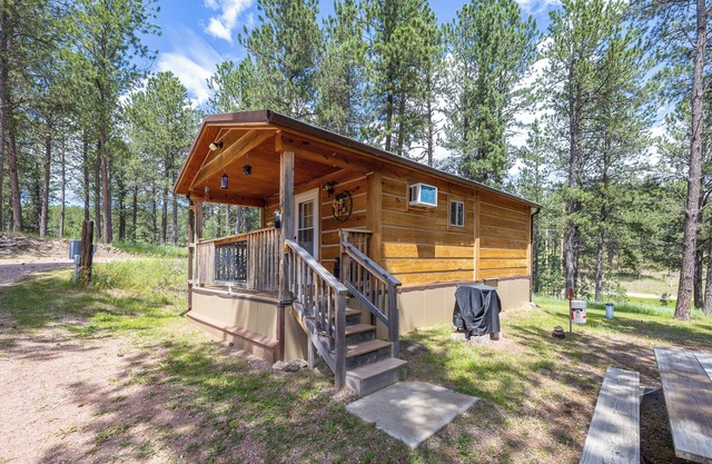 Cozy Log Cabin near Custer