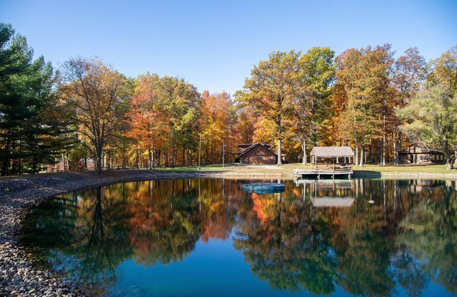 Cozy log cabin with pond nestled within 10 wooded acres. Accommodates up to 12!