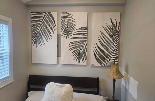 Cozy Mini Home in charming Silver Spring with WiFi, AC