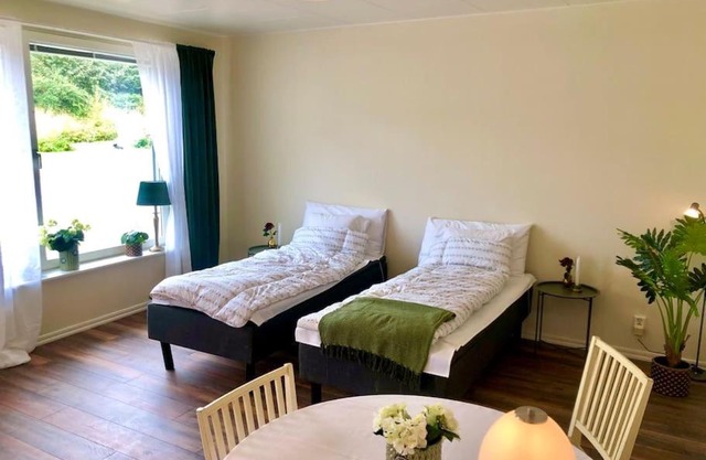 Cozy modern studio apartment stay