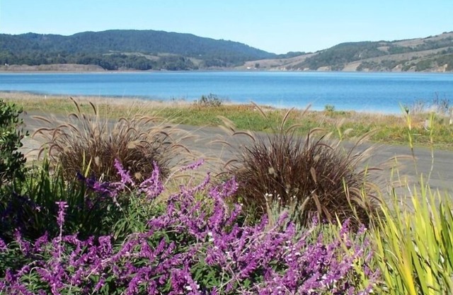 Cozy, Relaxing Stinson Beach Getaway