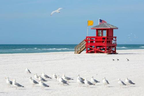 Cozy Retreat pvt rm Close To Siesta Keys J3A shared home