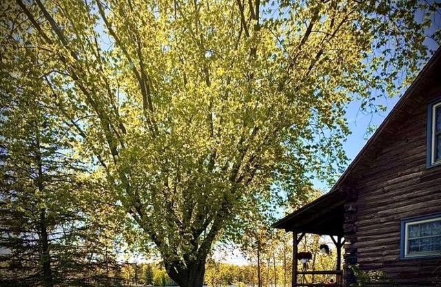 Cozy Rustic 3-bedroom river cabin with WiFi on the Menominee River