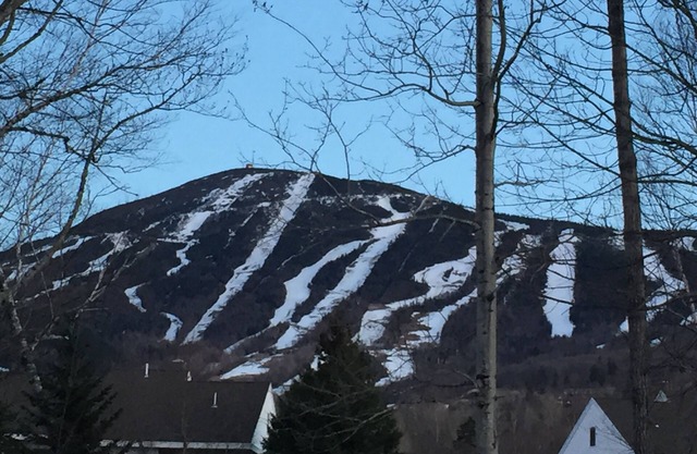 Cozy Snowbrook 4 BR Condo - Ski in - Ski out