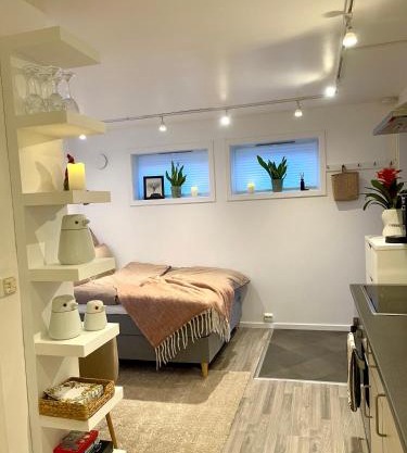 Cozy studio apartment at Tomasjord