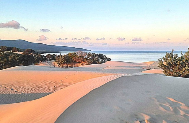 Cozy Villa 7 minutes walk from Portopino beach. peace and relaxation