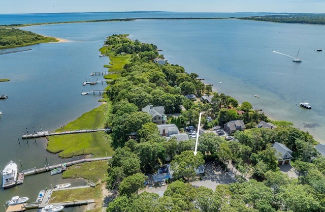 Cozy Waterfront Getaway Dog-Friendly Peaceful Views & Easy Kayak Access
