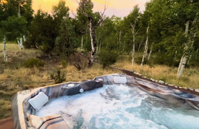 Creekfront Mnt View Hot Tub Quiet 4 ac FirePit Custom Built Starlink