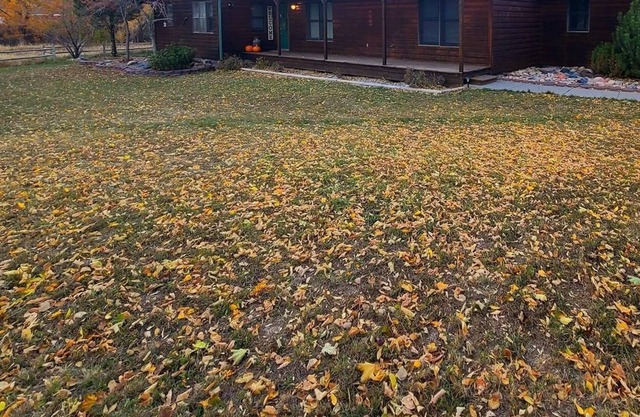 Creekside Retreat