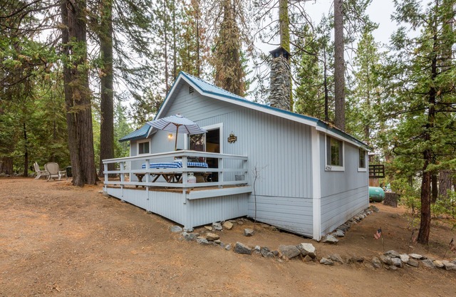 CUTE 2B/1B CABIN IN THE WEST VILLAGE ON MADRONE LANE