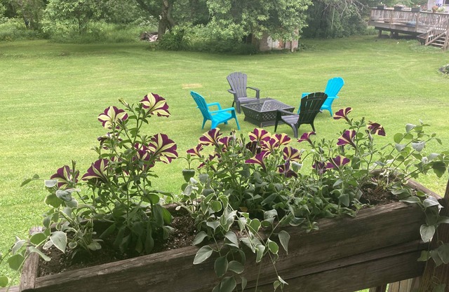 D & D's Place - All Season Beauty Quiet or Adventure, it's Here!