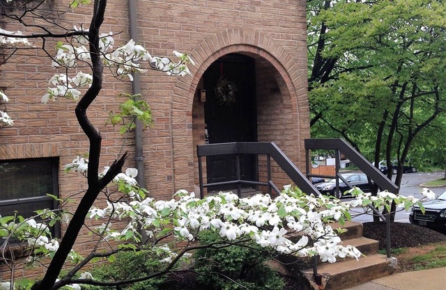 DC Gem- A charming hidden oasis