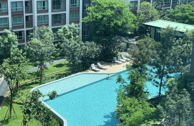 Dcondo Ping chiangmai