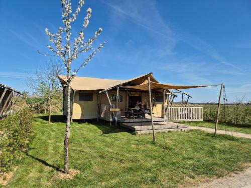De Hazelaarshof- luxe XL-glampingtent (7-8 personen) nabij De Millingerwaard