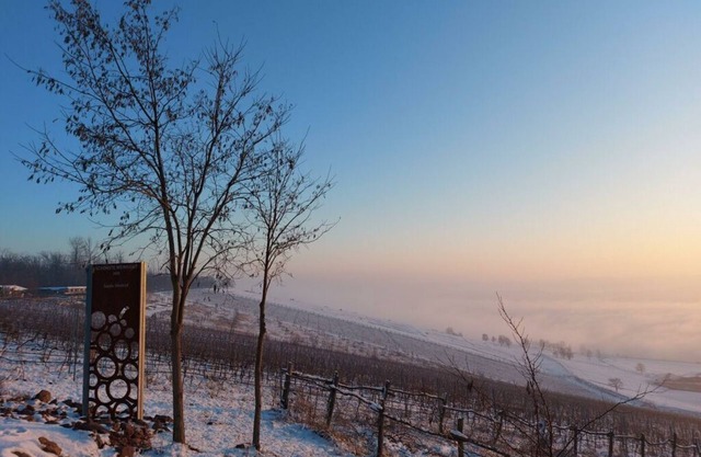 Zonnehof in het Geiseltal