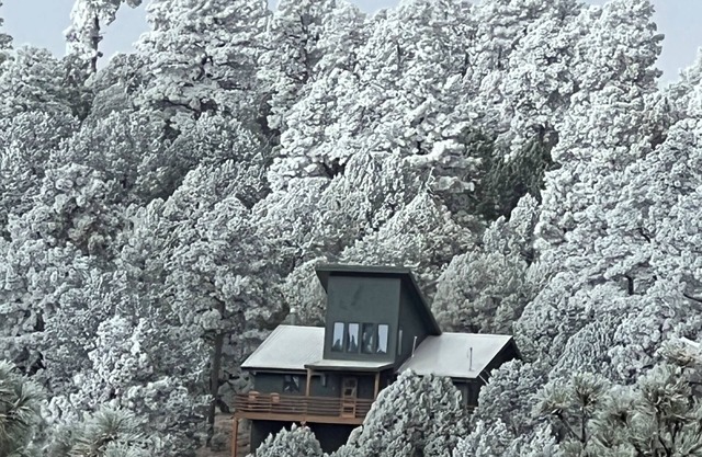 Deer Lover's Paradise