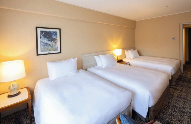 Deluxe Triple hotel with AC, WiFi, fitness room in lovely Minato City