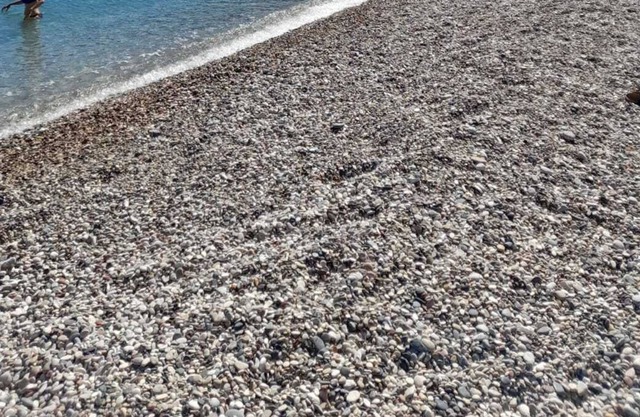 denize ve plaja 150 metre uzaklıkta 2+1 100 m2 full eşyalı lüx daire
