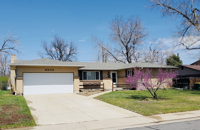 Denver Haven|Yard Games|Close to City and Mountains|