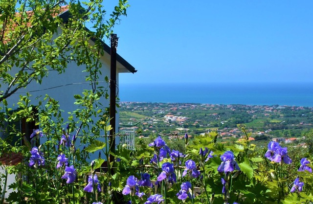 Detached cottage on the hill of Tresino di Castellabate, very panoramic