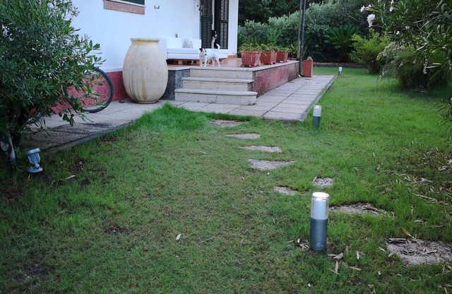 Detached villa with garden and pine forest 300 m. from the sea