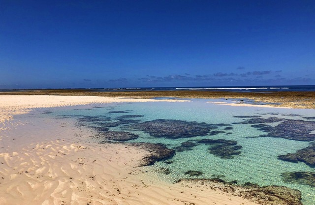 Diani Paradise Villas Resort