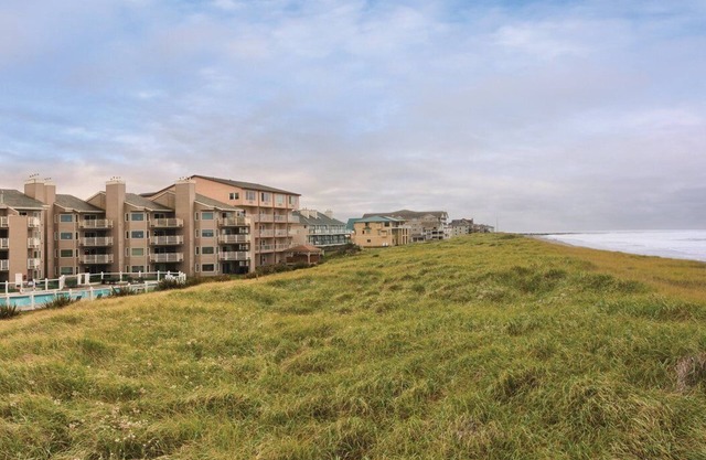 Dig your toes in the sand and throw yourself into the wind!