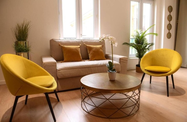Dijon Hyper Centre : Apartment 41m² Facing Museum, Monuments and Restaurants