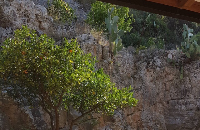 Disabled accessible large stone house in orange grove